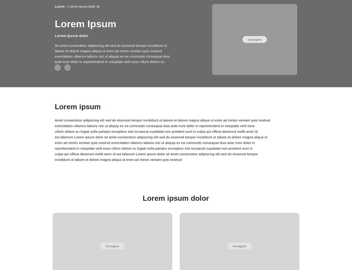 Wireframe della pagina di un autore del blog